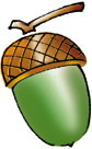oak
